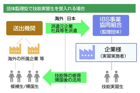 外国人技能実習生