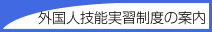 外国人技能実習制度の案内