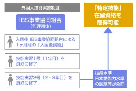 技能実習生から特定技能への移行